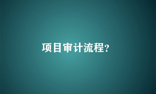项目审计流程?