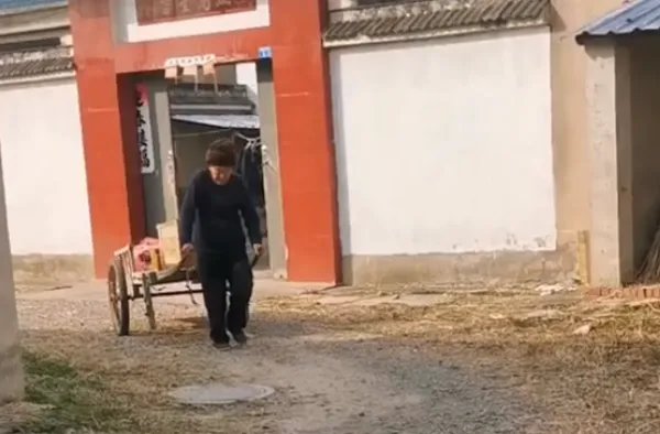江苏9旬老人独自一人拉着板车搬家，老人的子女为何不帮忙？