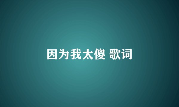 因为我太傻 歌词