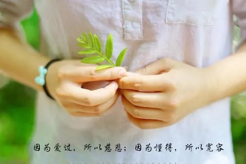 热门小说愿卿怜取眼前人主角花向晚慕容煜全章节阅读