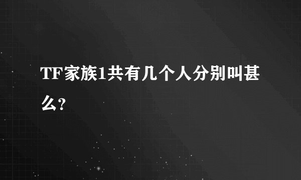 TF家族1共有几个人分别叫甚么?
