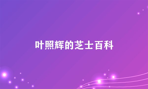 叶照辉的芝士百科