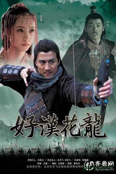 好汉花龙剧情简介的介绍