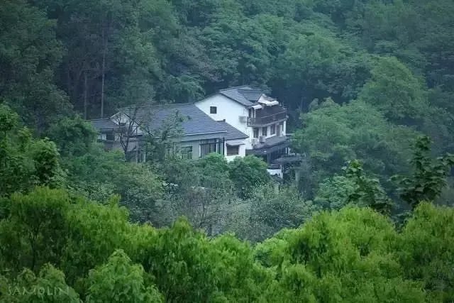 看过千岛湖的这10家民宿,才知道什么叫极致,还有11位导师告诉你民宿的秘密