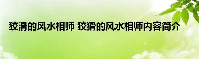 狡滑的风水相师 狡猾的风水相师内容简介