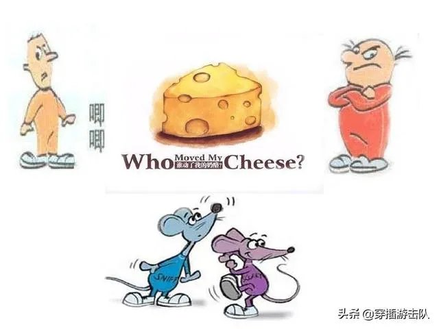 老鼠明明不爱吃奶酪，为什么动画片里还要把老鼠设定成爱吃奶酪的形象？