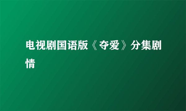 电视剧国语版《夺爱》分集剧情