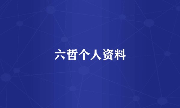 六哲个人资料