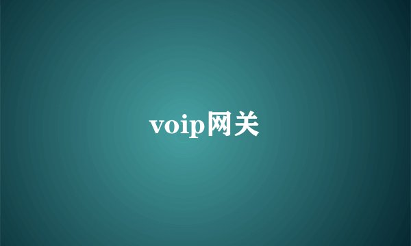 voip网关