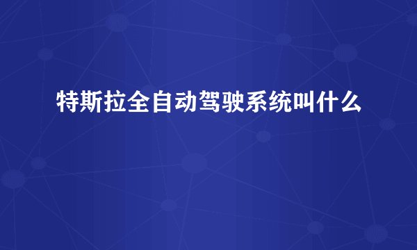 特斯拉全自动驾驶系统叫什么