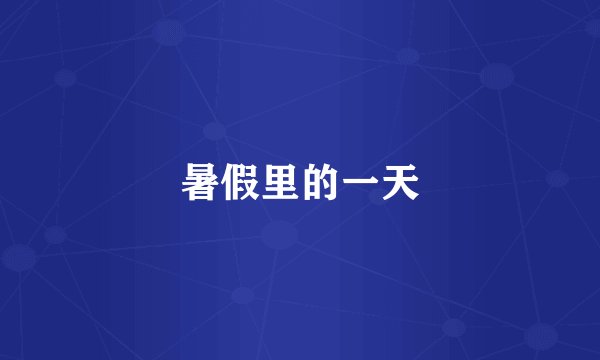 暑假里的一天