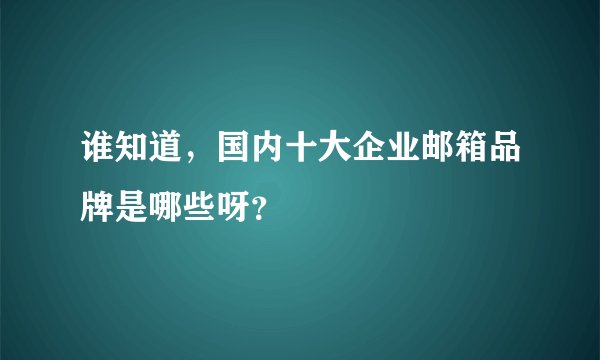 谁知道，国内十大企业邮箱品牌是哪些呀？