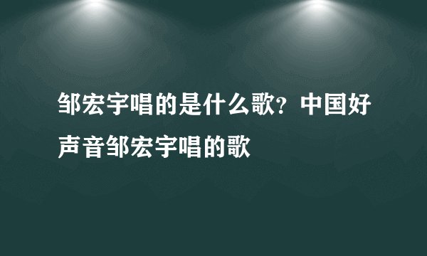 邹宏宇唱的是什么歌？中国好声音邹宏宇唱的歌