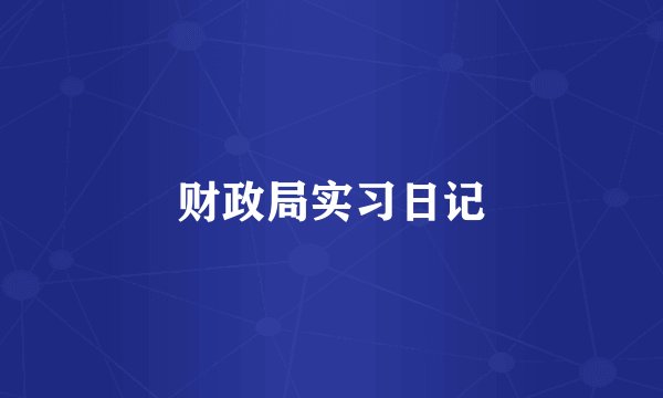 财政局实习日记