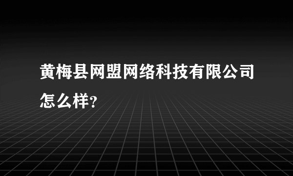 黄梅县网盟网络科技有限公司怎么样？