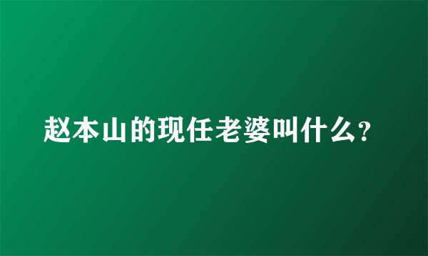 赵本山的现任老婆叫什么？