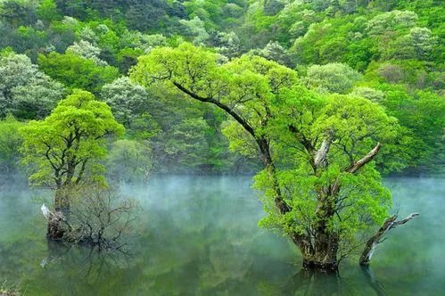 九寨沟旅游自助旅游全攻略