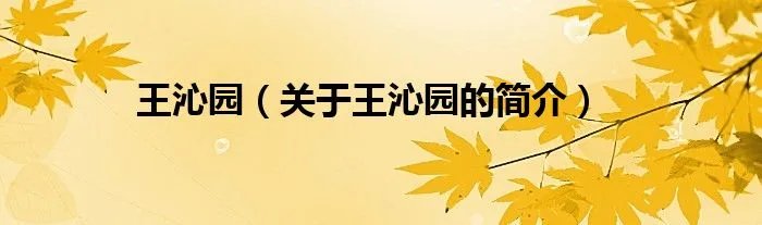 王沁园（关于王沁园的简介）