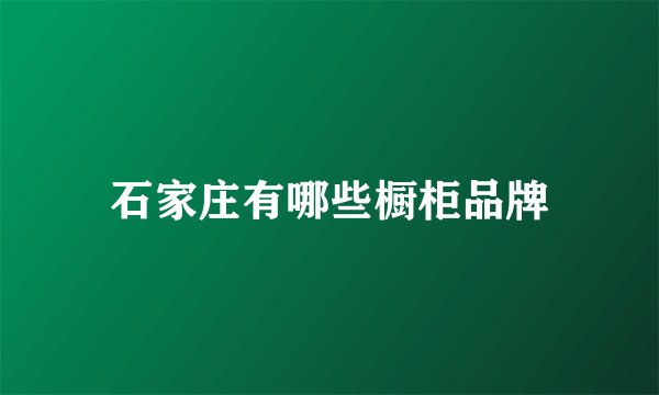 石家庄有哪些橱柜品牌