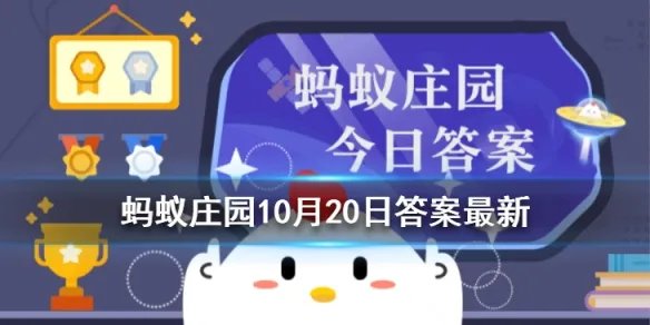 蚂蚁庄园蚝油是一种食用油吗 蚝油是不是食用油10.20答案