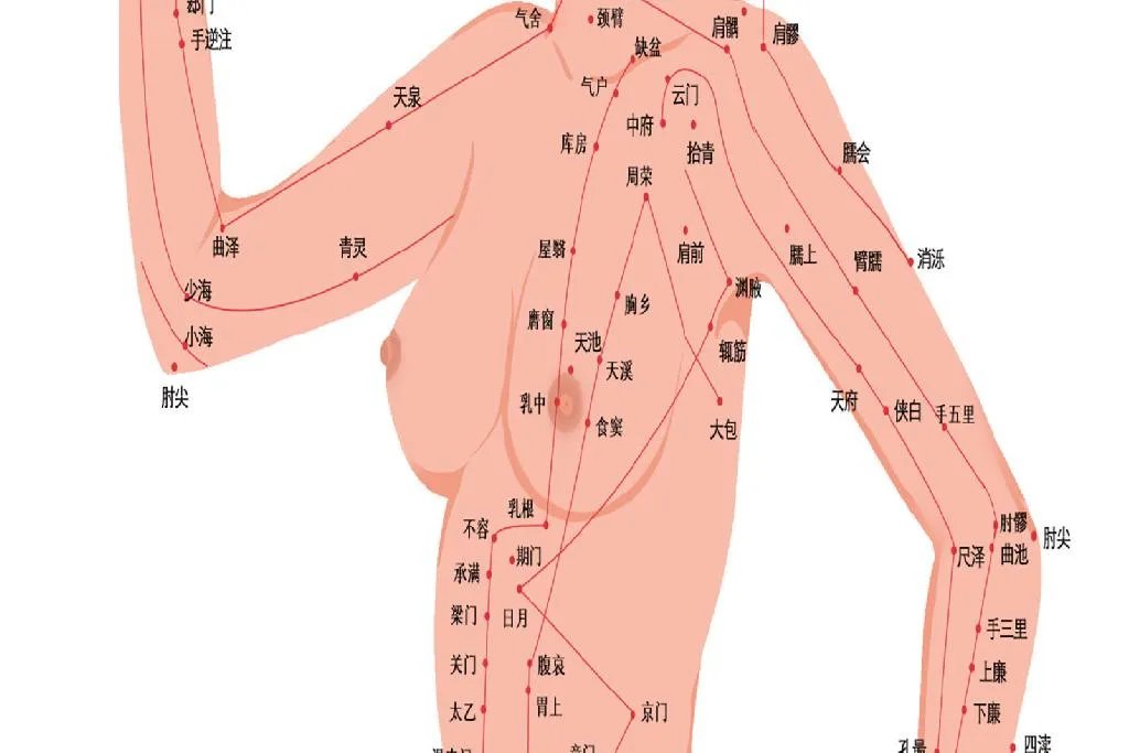 人体经络示意图