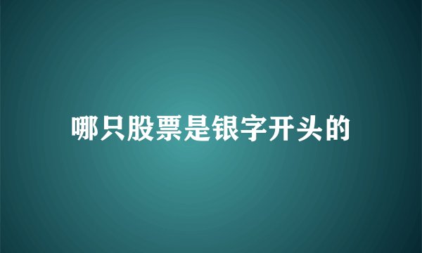哪只股票是银字开头的