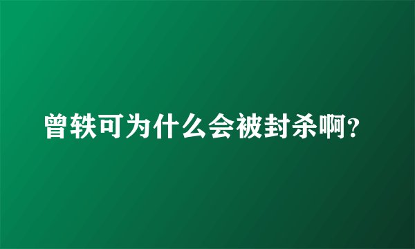 曾轶可为什么会被封杀啊？