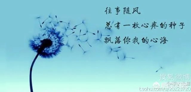 简奥斯丁写了世人羡慕的爱情作品,自己却孤独终老,是遗憾吗?