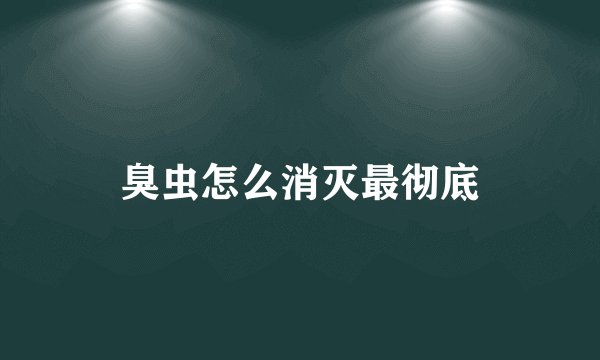 臭虫怎么消灭最彻底