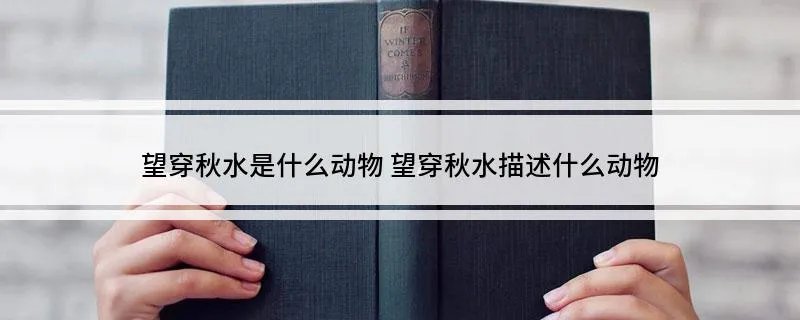望穿秋水是什么动物 望穿秋水描述什么动物