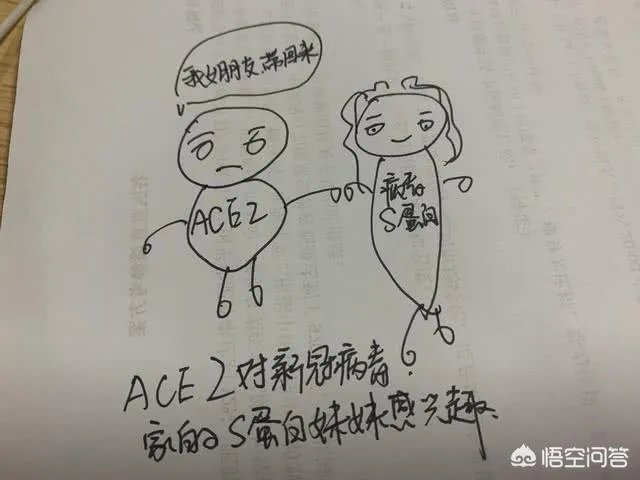 特朗普是否可能感染了新冠肺炎?