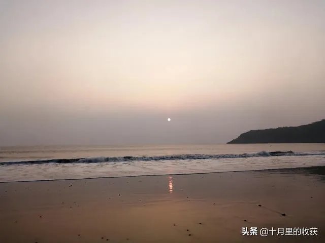 和驴友