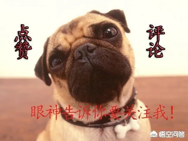 怎么看待中国女乒丁宁0:3不敌香港小将丢掉世乒赛半决赛首盘?