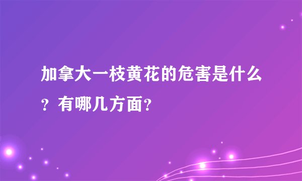 加拿大一枝黄花的危害是什么？有哪几方面？