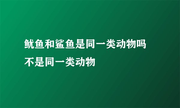 鱿鱼和鲨鱼是同一类动物吗 不是同一类动物