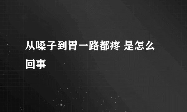从嗓子到胃一路都疼 是怎么回事