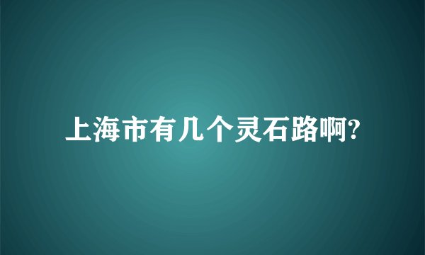 上海市有几个灵石路啊?