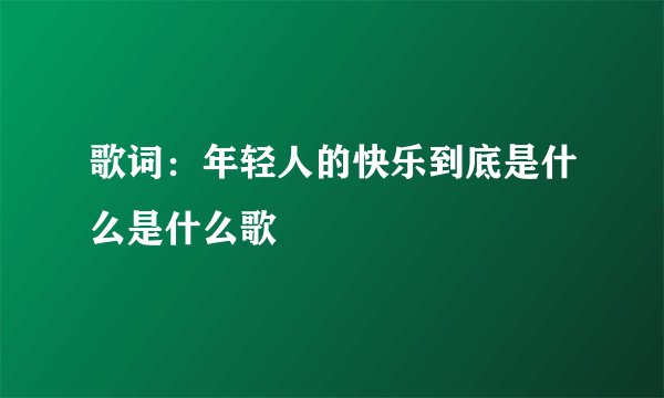 歌词：年轻人的快乐到底是什么是什么歌