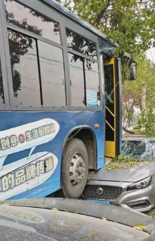 现场画面曝光!公交车冲入花坛司机身亡,是什么酿成了这起惨剧?