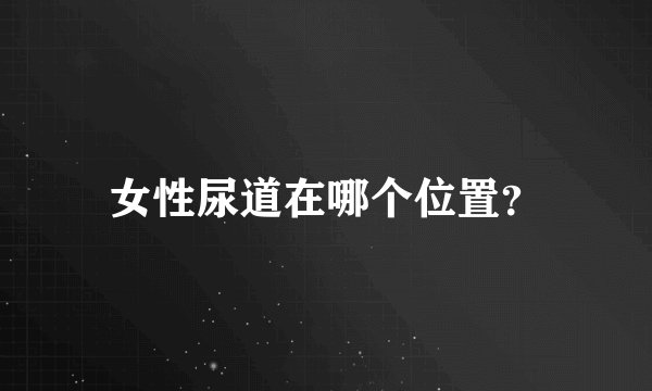 女性尿道在哪个位置？