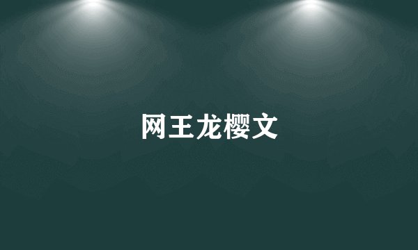 网王龙樱文