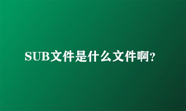 SUB文件是什么文件啊？
