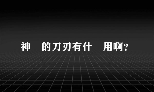 神聖的刀刃有什麼用啊？
