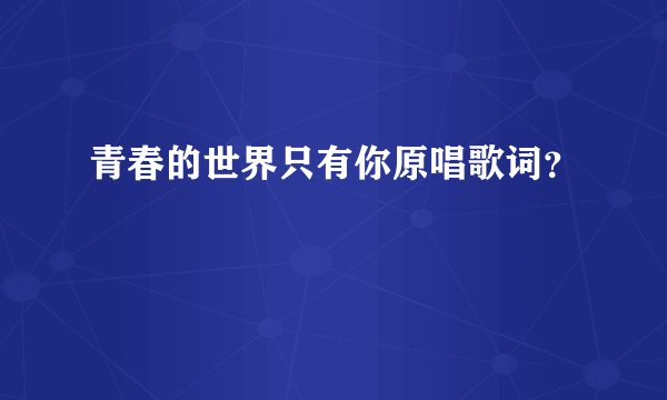 青春的世界只有你原唱歌词？