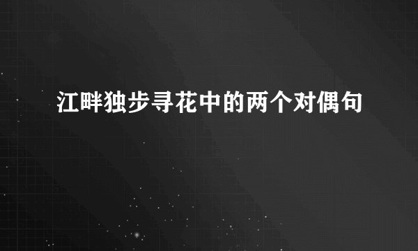 江畔独步寻花中的两个对偶句