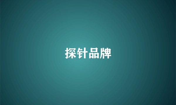 探针品牌