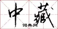 中藏