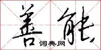善能