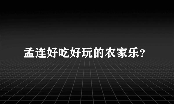 孟连好吃好玩的农家乐?