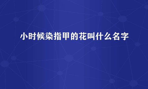 小时候染指甲的花叫什么名字